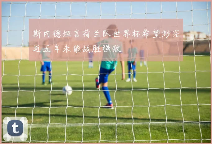 斯内德坦言荷兰队世界杯希望渺茫近五年未能战胜强敌