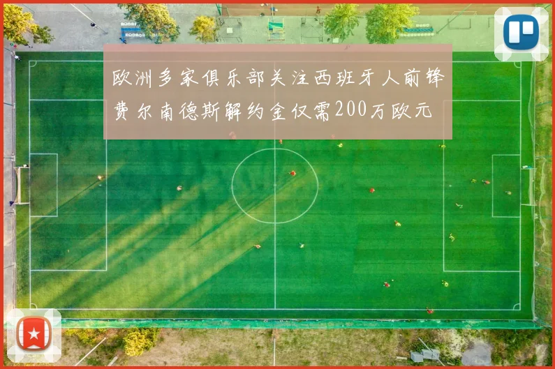 欧洲多家俱乐部关注西班牙人前锋费尔南德斯解约金仅需200万欧元